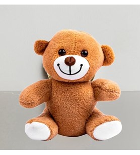 Ayıcık Pelüş 22cm