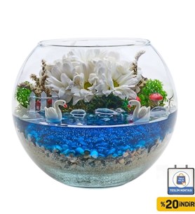 Cam Fanusta Beyaz Papatya ve Kuğulu Teraryum